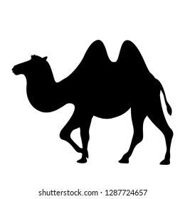 cartoon camel  vector illustration ,  black silhouette, profile view