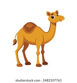 Cartoon camel vector illustration of color