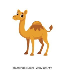 Cartoon camel vector illustration of color