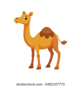 Cartoon camel vector illustration of color