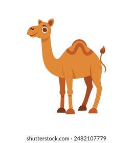 Cartoon camel vector illustration of color