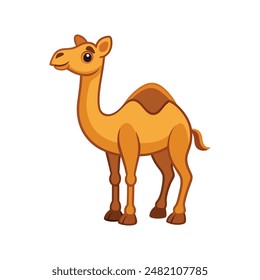 Cartoon camel vector illustration of color