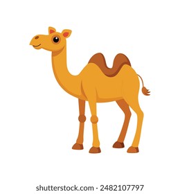 Cartoon camel vector illustration of color