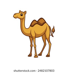 Cartoon camel vector illustration of color