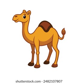 Cartoon camel vector illustration of color