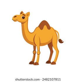 Cartoon camel vector illustration of color