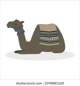 Cartoon camel vector illustration of color