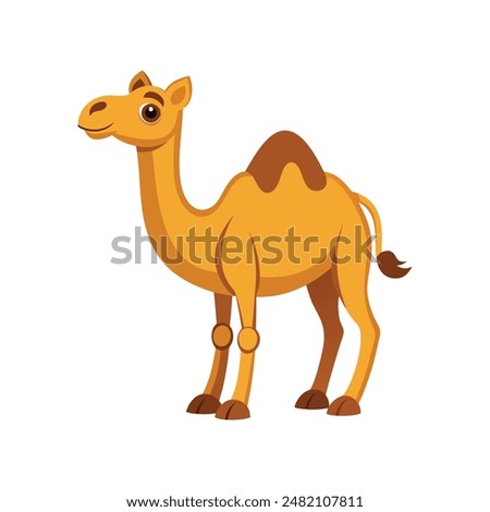 Cartoon camel vector illustration of color