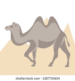 cartoon camel  vector illustration , flat style, profile view