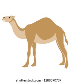 cartoon camel ,vector illustration ,flat style,profile side