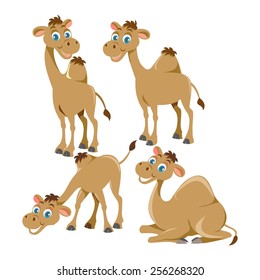 Cartoon Camels 