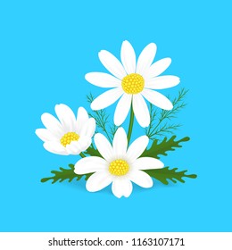 Cartoon Camomile on a Blue Background. for Ad Medicine and Health Care Concept Flat Design Style. Vector illustration of Chamomile