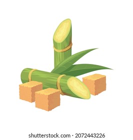 Cartoon cane sugar. Cubes of brown sugar and sugarcane raw plant, vector illustration isolated on white background