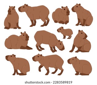 Cartoon capybara. Cute capybaras, funny semi-aquatic wild animals, herbivore mammal hydrochoerus flat vector illustration set. Capybara rodent collection