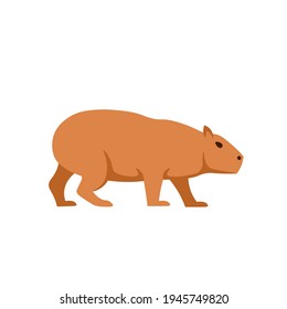 Cartoon capybara on a white background.Flat cartoon illustration for kids.
