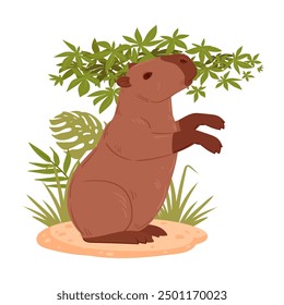 Cartoon capybara. Semi aquatic animal, wild capybara mammal in natural habitat flat vector illustration. Cute capybara