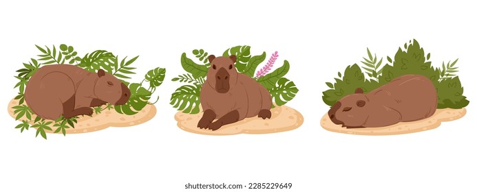 Cartoon capybaras. Cute semi-aquatic wild animals, herbivore mammals in natural habitat flat vector illustration set