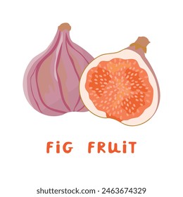 Cartoon card  with whole and cut fig fruit isolated on white background.Exotic plant of purple color with red pulp and seeds.Vector hand drawn design for use in banner template,poster,sticker.