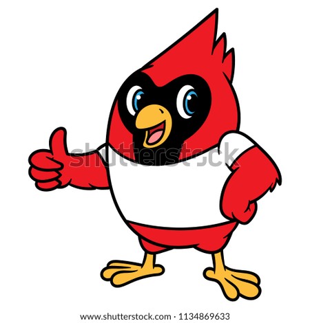 Cartoon Cardinal Bird Mascot