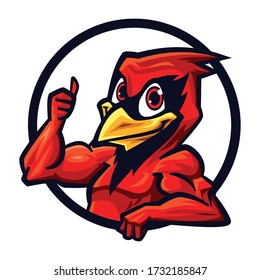 310+ Cartoon Cardinal Mascot Illustrations, Royalty-Free Vector