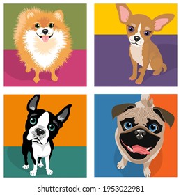 Cartoon caricatures of 4 dog breeds. Pomeranian, Chihuahua, Boston Terrier, Pug. For posters, cards, banners, t-shirts, social media. Vector Illustration.