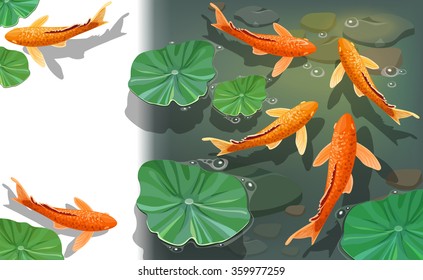 Cartoon carps koi fish. Underwater view with space for text. Vector illustration.