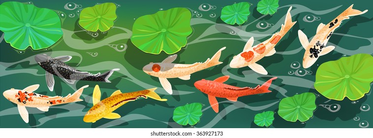 Cartoon carps koi fish. Underwater view. Vector illustration.