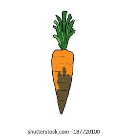 cartoon carrot