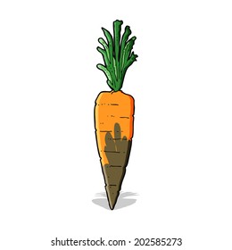 cartoon carrot