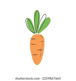 Cartoon carrot drawing with black lines isolated on white background. Hand drawn vector doodle illustration in children trendy style. Easter concept, nature, healthy food, lunch, break, ingredient