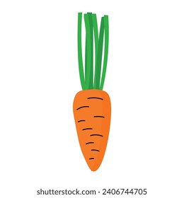 Cartoon carrot with green. Doodle illustration isolated on white.
