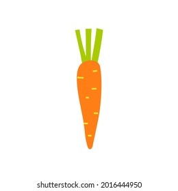 Cartoon carrot isolated. Vector illustration of an orange carrot with green tops. Vegetable culture, root vegetable on a white background.