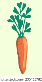 cartoon carrot in vector.vegetable in flat style isolated from background.print design object element.leaves hearts. fresh root vegetable grown with love in the garden.