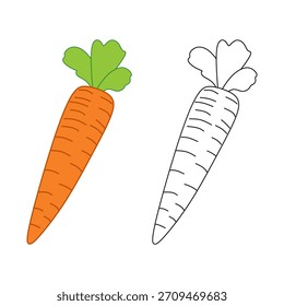 Cartoon Carrot Vegetable Icon Set. Colored and Outline Vector