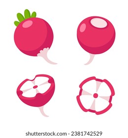 Cartoon carved radish illustration set. Whole vegetable and cut into flower. Flat vector style clip art illustration.