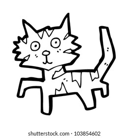 cartoon cat