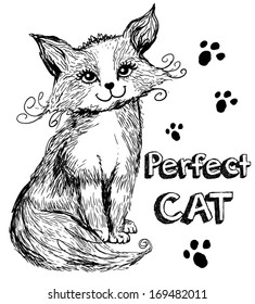 cartoon cat