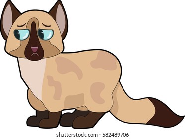 Cartoon cat