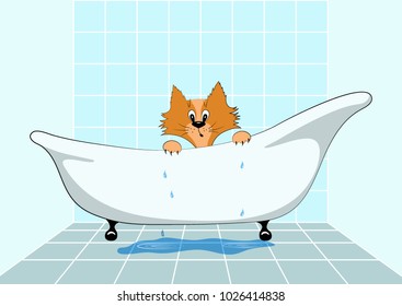 Cartoon cat in the bath. Vector illustration