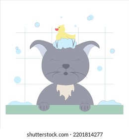 Cartoon cat. cat bathing in the bathtub. cat has a rubber duck on his head. vector illustration