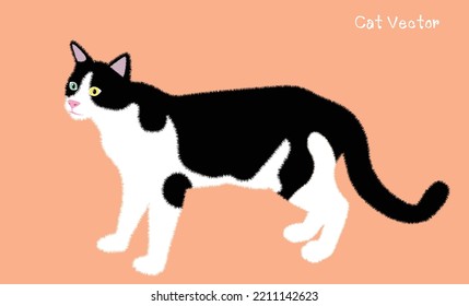 Caricatura. Comportamiento del gato, lenguaje corporal y expresiones faciales en un estilo lindo. Diferentes gatos de dibujos animados, ilustración vectorial simple, moderna, geométrica de estilo plano. fondo naranja