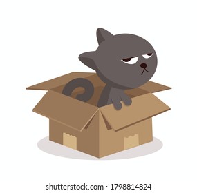 Cartoon  cat  in a box cardboard box vector