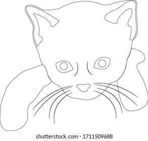 Cartoon cat character. A cute kitten line on white background. Stock vector illustration.