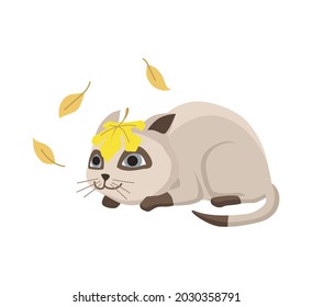Cartoon cat character. Siamese colorpoint pet. Adorable domestic cat watching the falling leaves. Funny happy and playful animal. Cute two color kitten