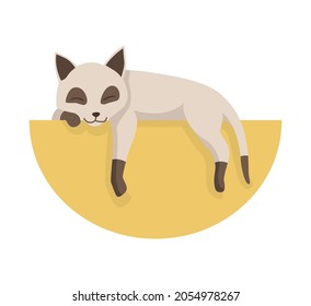 Cartoon cat character. Siamese colorpoint pet. Adorable domestic cat sleeping. Funny happy and playful animal. Cute two color kitten