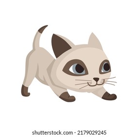 Cartoon cat character. Siamese colorpoint pet. Adorable domestic cat playing. Funny happy and playful animal. Cute two color kitten