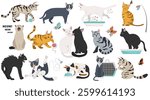 Cartoon cat characters collection. Different cat`s poses, yoga and emotions set. Flat color simple style design. Vector illustration