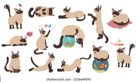 Cartoon cat characters collection. Different cats poses, yoga and emotions set. Flat color simple style design. Siamese colorpoint cats. Vector illustration