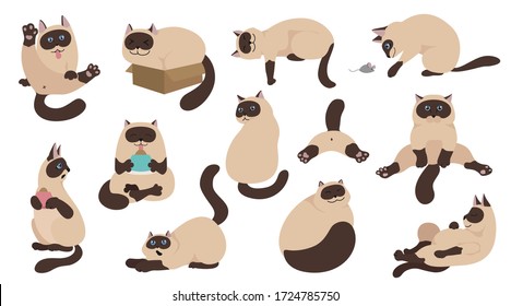 Colección de personajes del gato de dibujos animados. Se proponen diferentes poses de gato, yoga y emociones. Diseño de estilo sencillo de color plano. Gatos coloridos siameses. Ilustración del vector