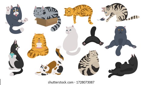 Cartoon cat characters collection. Different cat`s poses, yoga and emotions set. Flat color simple style design. Vector illustration